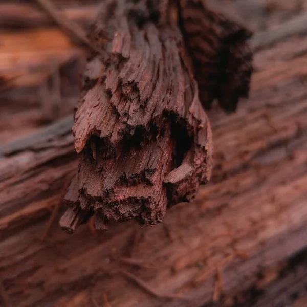 Mahogany Teakwood
